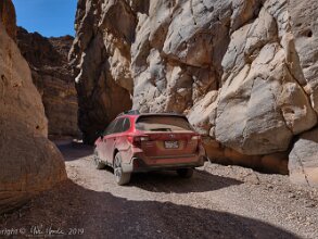 2019 Grand Canyon Trip - Death Valley Driving into Death Valley via Titus Canyon brought us past an area with lots of blooming wildflowers and cacti. Photos...