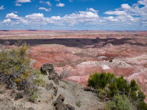 2019 Grand Canyon Trip - Painted Desert These photos were all taken in the northern to central part of Petrified Forest National Park in Arizona, the area known...