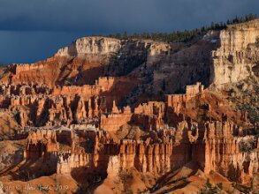 2019 Grand Canyon Trip - Bryce Canyon Our visit to Bryce Canyon started out with major disappointment. It was overcast, foggy and cold, with slushy snow on...