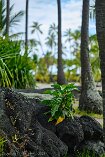 XP2_HI23_00464-c1