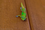 1/240 sec at f / 3.2