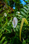 1/1800 sec at f / 2.2