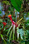 1/110 sec at f / 5.6