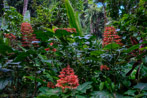 1/100 sec at f / 8.0