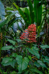 1/200 sec at f / 5.6