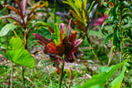 1/1000 sec at f / 2.8