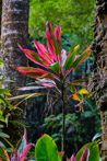 1/400 sec at f / 4.0