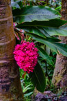 1/160 sec at f / 4.0
