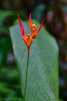1/120 sec at f / 2.8