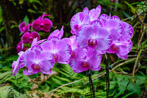 1/55 sec at f / 5.6