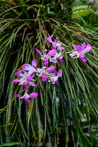 1/70 sec at f / 4.0