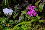 1/120 sec at f / 5.6