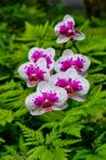 1/200 sec at f / 5.6