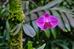 1/160 sec at f / 4.0