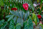 1/70 sec at f / 2.8