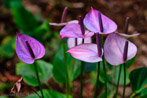 1/170 sec at f / 2.8