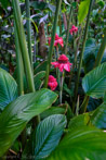 1/80 sec at f / 2.8