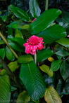 1/105 sec at f / 4.5