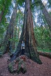 XT5_SW24_00004-c1