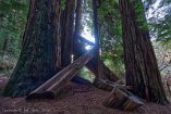 XT5_SW24_00032-c1