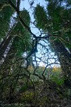 XT5_SW24_00057-c1