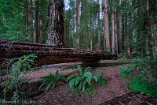 XT5_SW24_00072-c1