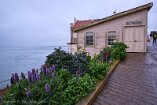 XT5_SW24_00434-c1