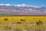XT5_SW24_00659-c1