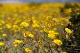 XT5_SW24_00992-c1