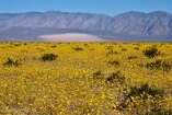 XT5_SW24_01004-c1
