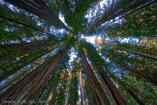 XT5_SW24_00000-c1