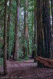 XT5_SW24_00021-c1