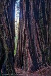 XT5_SW24_00023-c1