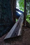 XT5_SW24_00034-c1