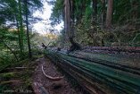 XT5_SW24_00078-c1