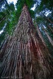 XT5_SW24_00089-c1