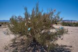 XT5_SW24_01188-c1