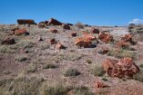 XT5_SW24_01192-c1