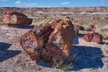 XT5_SW24_01206-c1