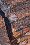 XT5_SW24_01216-c1