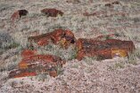 XT5_SW24_01224-c1