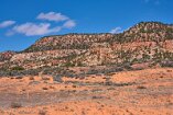 XT5_SW24_01432-c1