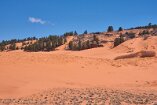 XT5_SW24_01434-c1