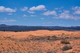 XT5_SW24_01444-c1