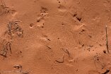 XT5_SW24_01445-c1