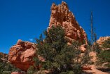 XT5_SW24_01450-c1