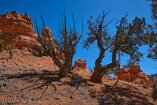 XT5_SW24_01459-c1