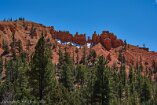 XT5_SW24_01463-c1
