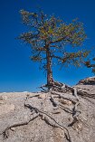 XT5_SW24_01474-c1
