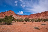XT5_SW24_01598-c1